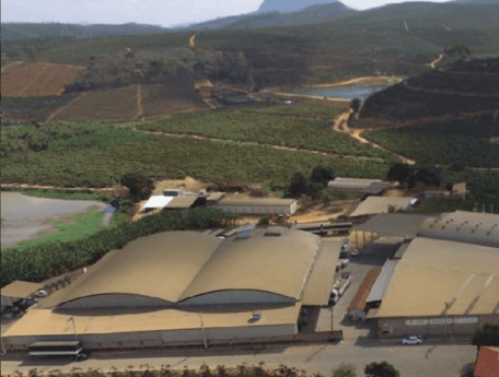 Больше о жизни Brazilian Coffee